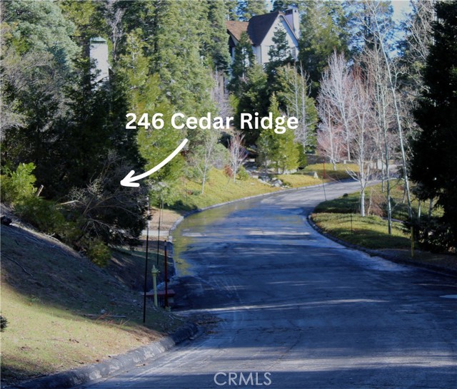 246 Cedar Ridge Dr, Lake Arrowhead, CA 92352