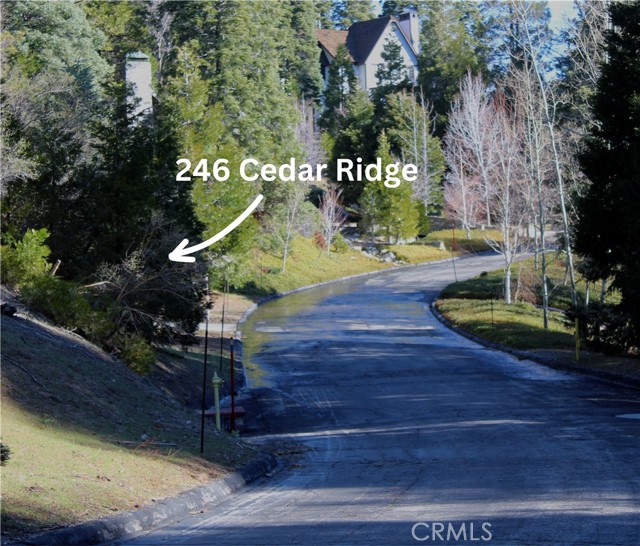 246 Cedar Ridge Dr, Lake Arrowhead, CA 92352