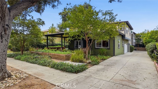 537 Cypress photo 5