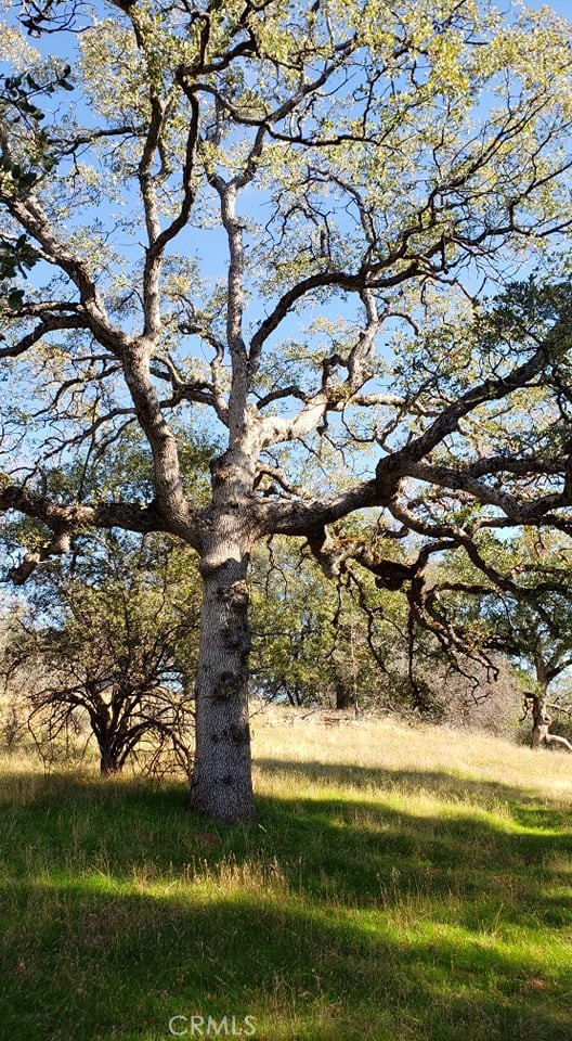 Detail Gallery Image 11 of 15 For 0 Unassigned Boyer Rd, Mariposa,  CA 95338 - – Beds | – Baths