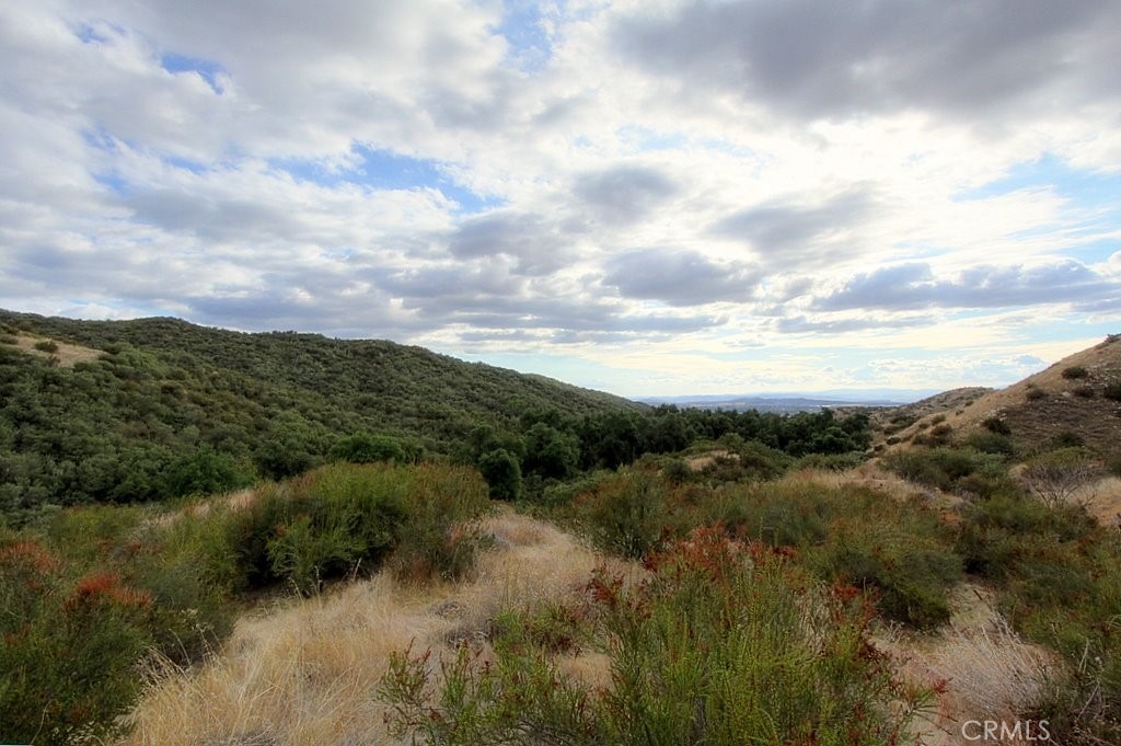 MLS #IG25034144 img 55