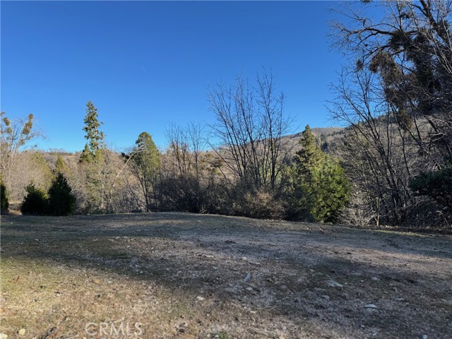 Detail Gallery Image 2 of 12 For 29373 Pine, Cedar Glen,  CA 92321 - – Beds | – Baths