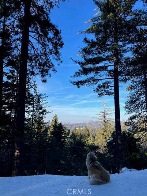 Detail Gallery Image 2 of 17 For 525 Ca-173, Lake Arrowhead,  CA 92352 - – Beds | – Baths