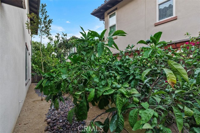 33491 Sea Bright Drive, Dana Point CA: https://media.crmls.org/medias/f73c4946-3803-4412-b251-8dffe566741b.jpg