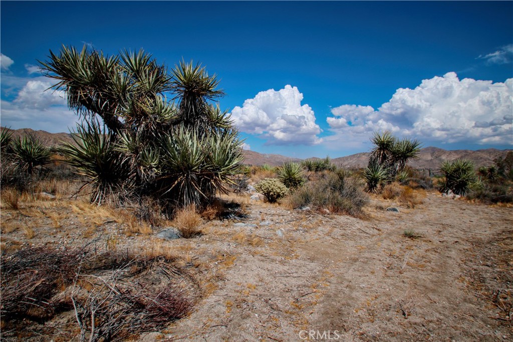 MLS #RS25195860 image #11