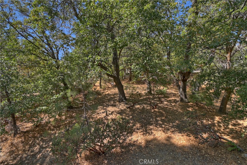 MLS #IG25150298 image #67