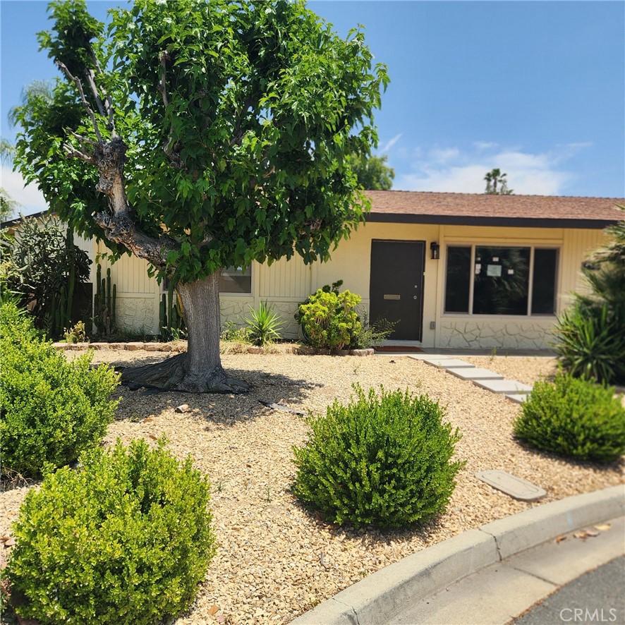 560 Palmer Drive