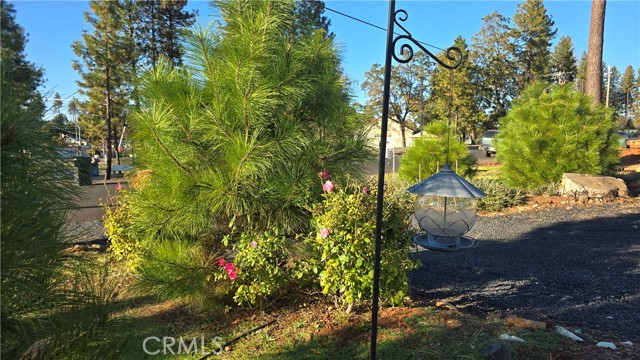 Detail Gallery Image 14 of 36 For 6396 Diamond, Paradise,  CA 95969 - 2 Beds | 2 Baths