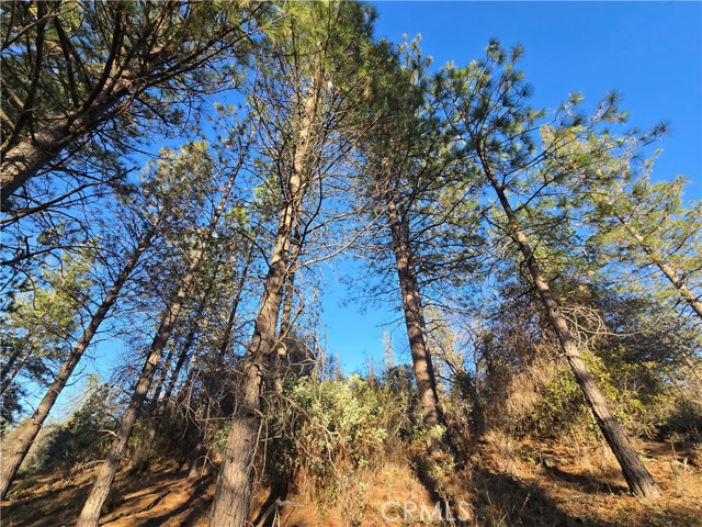 Detail Gallery Image 27 of 34 For 0 Double Eagle Way, Brownsville,  CA 95919 - – Beds | – Baths