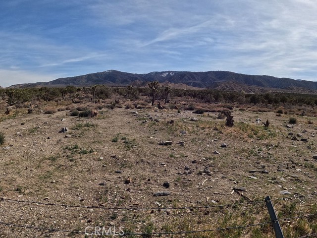 Detail Gallery Image 28 of 67 For 30000 Buchannon Ranch Rd, Llano,  CA 93544 - 3 Beds | 2 Baths