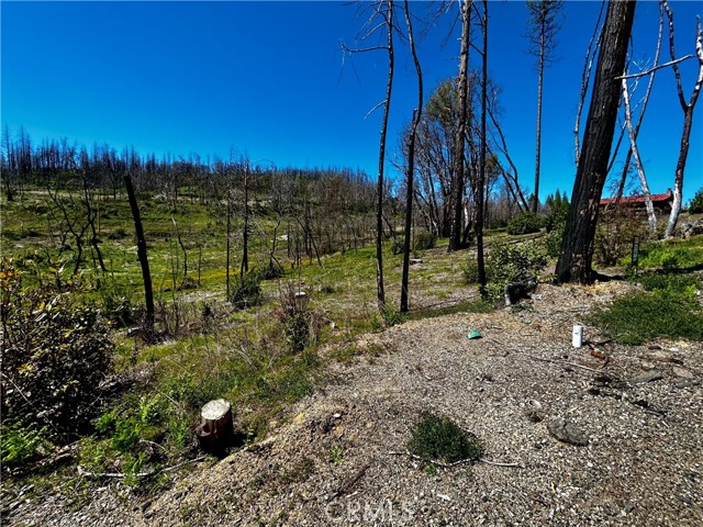 12 Azalea Lane, Berry Creek, California 95916, ,Land,For Sale,12 Azalea Lane,CRSN23072179