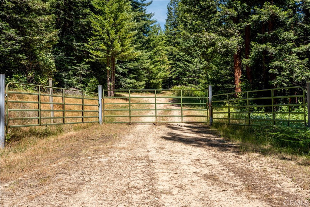 MLS #LC25132464 image #13