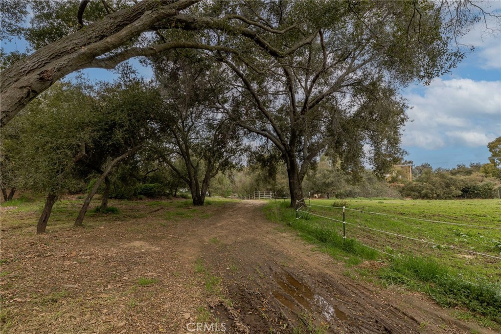 MLS #SW25105028 img 47