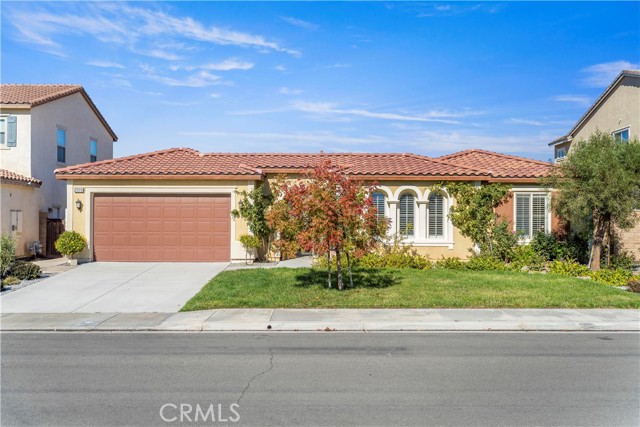 Front Image Thumbnail for CROC25265221