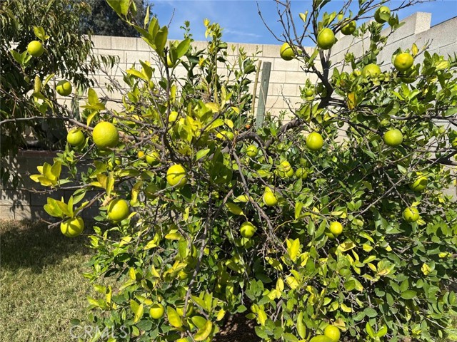 Detail Gallery Image 13 of 20 For 15162 Cambria St, Fontana,  CA 92335 - 4 Beds | 2 Baths