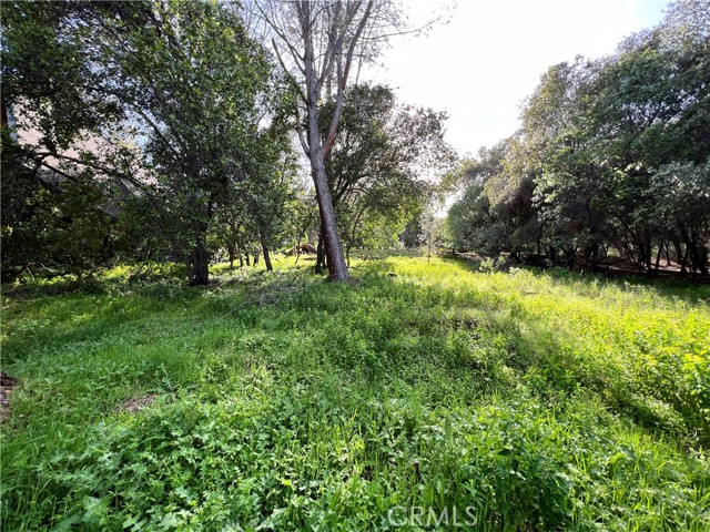 Detail Gallery Image 1 of 5 For 3356 Southlake Ct, Kelseyville,  CA 95451 - – Beds | – Baths