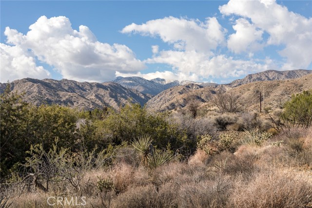 Detail Gallery Image 7 of 9 For 0 Magnolia Dr, Morongo Valley,  CA 92256 - – Beds | – Baths