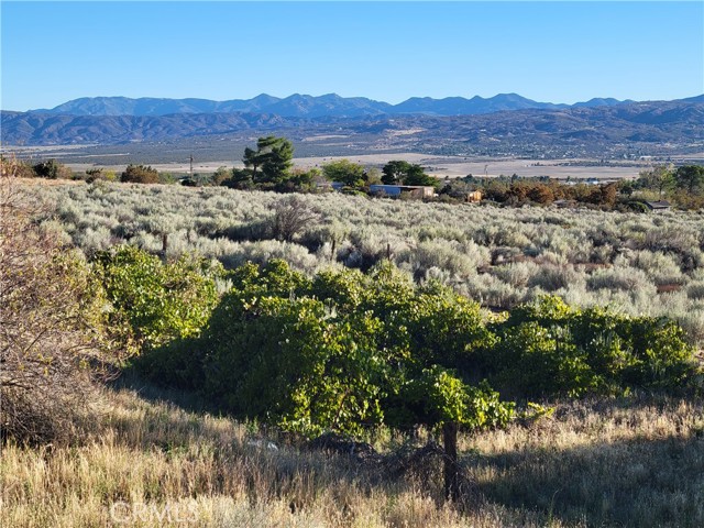 Detail Gallery Image 28 of 46 For 44451 Jay Dr, Anza,  CA 92539 - 3 Beds | 2 Baths