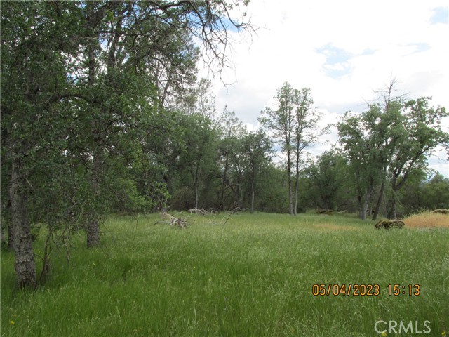 Detail Gallery Image 1 of 1 For 3 Acres Serendipity Ln, Coarsegold,  CA 93614 - – Beds | – Baths