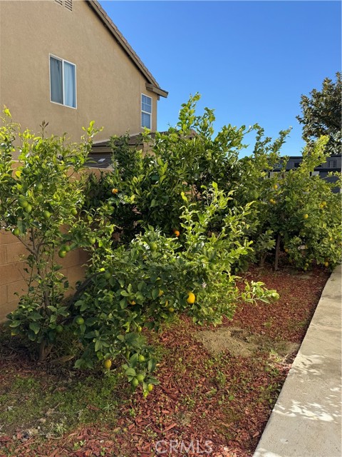 Detail Gallery Image 11 of 12 For 7056 Calina, Corona,  CA 92880 - 5 Beds | 3 Baths