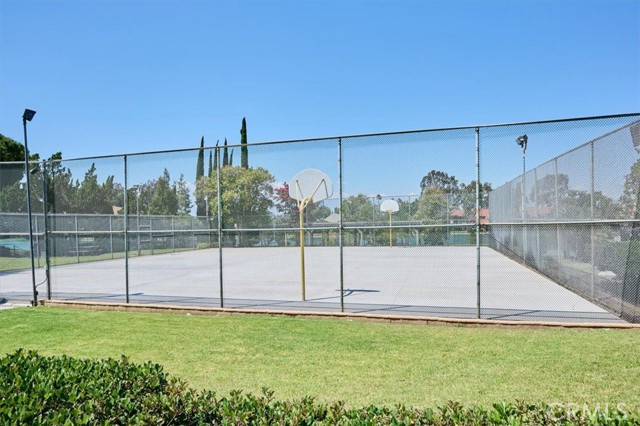 Basketball Courts