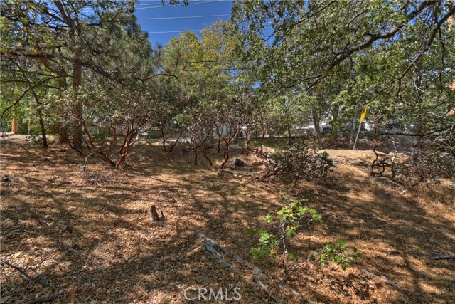 1348 Manzanita Way, Lake Arrowhead CA: https://media.crmls.org/medias/f785c5df-c307-4351-a154-249f5feb8e9c.jpg