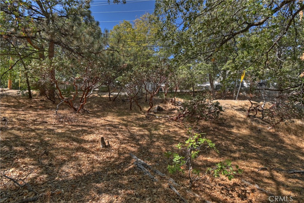 MLS #IG25150298 image #59