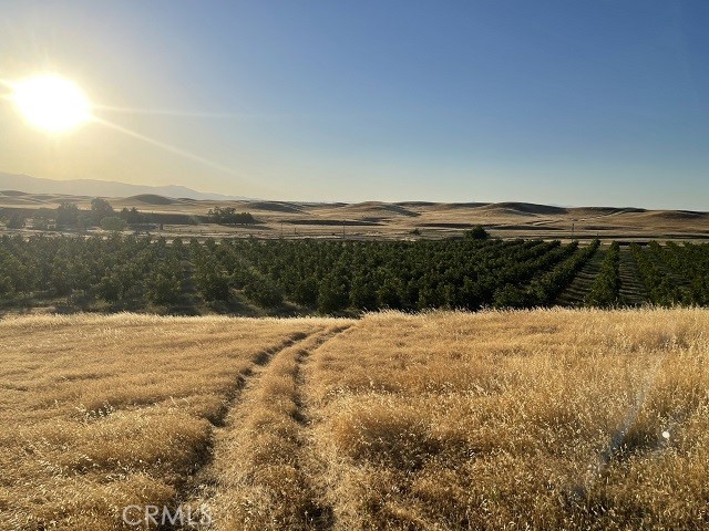 Detail Gallery Image 6 of 27 For 0 Butte Mountain Rd, Corning,  CA 96021 - – Beds | – Baths