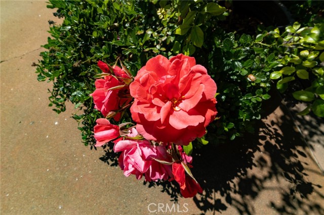 Detail Gallery Image 71 of 75 For 2310 Oak Haven Ln, Arroyo Grande,  CA 93420 - 4 Beds | 3 Baths
