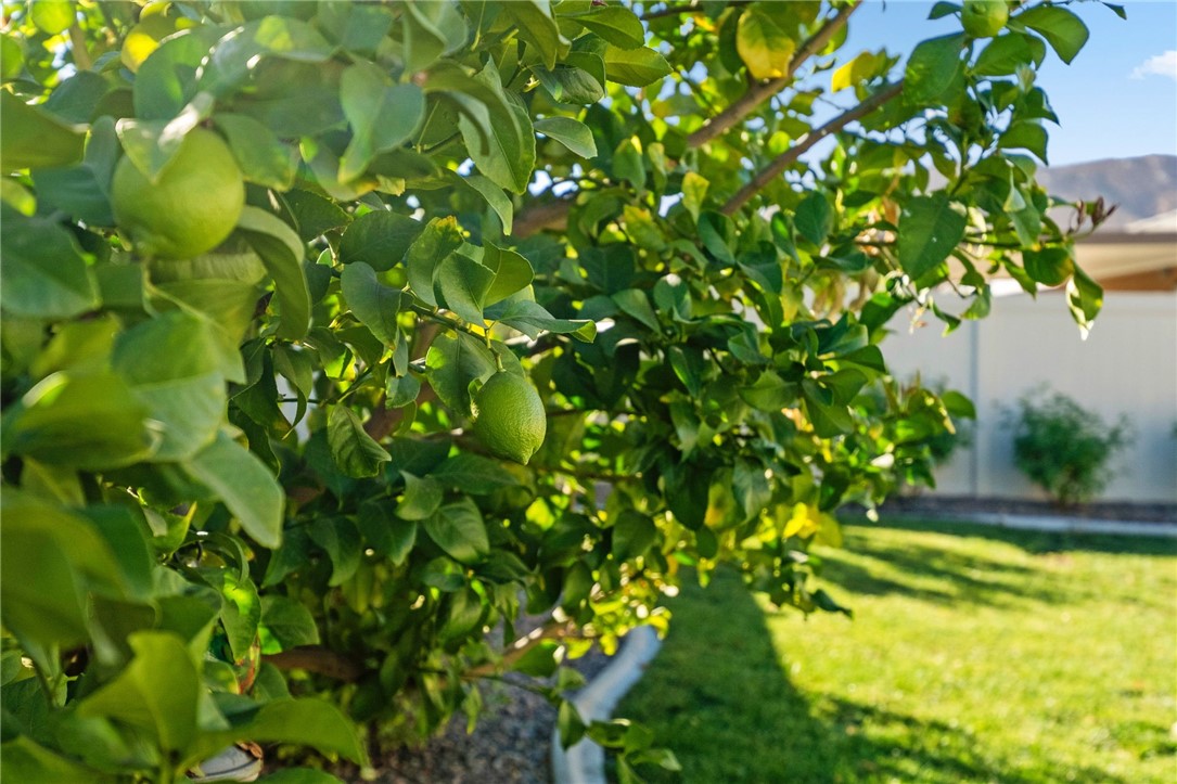 Detail Gallery Image 32 of 39 For 29052 Topeka Cir, Winchester,  CA 92596 - 4 Beds | 2 Baths