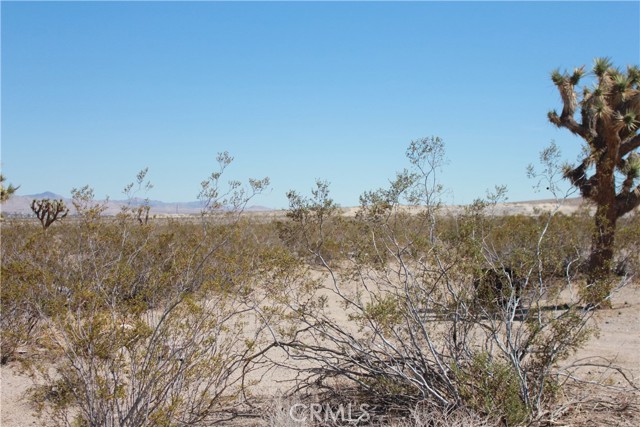 Detail Gallery Image 64 of 71 For 769 Meridian Rd, Lucerne Valley,  CA 92356 - – Beds | – Baths