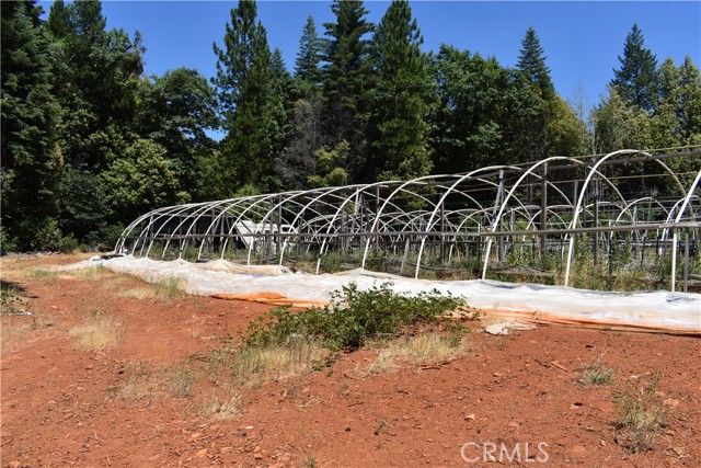 Detail Gallery Image 39 of 43 For 11605 La Porte Rd, Clipper Mills,  CA 95925 - 3 Beds | 2/1 Baths