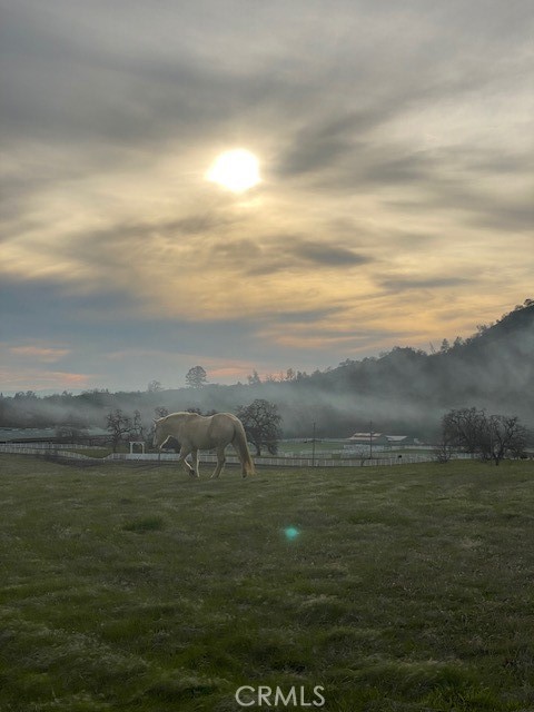 https://media.crmls.org/medias/f7abd1c8-36de-46c8-8515-b76311bf48e5.jpg?preset=X-Large