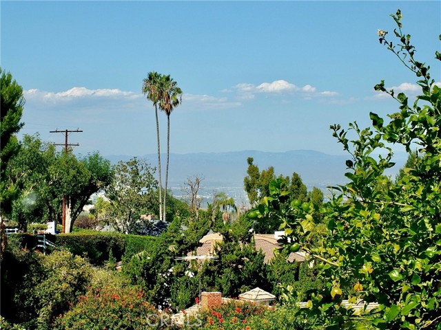 Valley Views