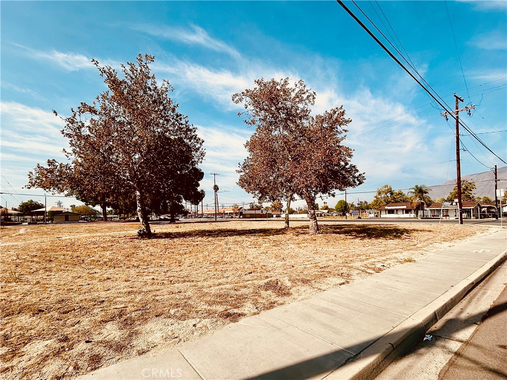 MLS #SW25256203 image #5