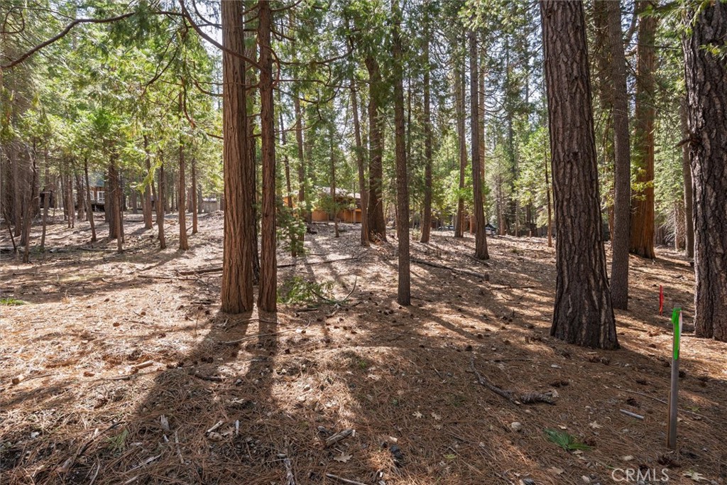 MLS #FR25095237 image #6
