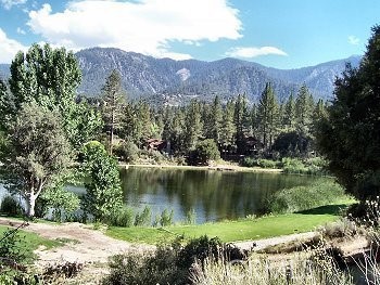 MLS #SR25227741 image #34