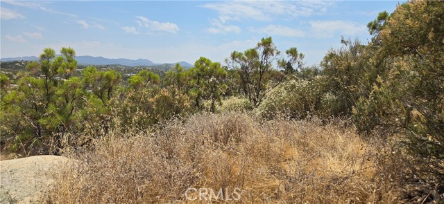 1011 Roan Way, Aguanga, California 92536, ,Land,For Sale,1011 Roan Way,CRSW24143304