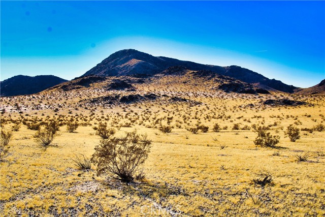 Detail Gallery Image 3 of 42 For 75777 Riverside Rd, Newberry Springs,  CA 92365 - – Beds | – Baths