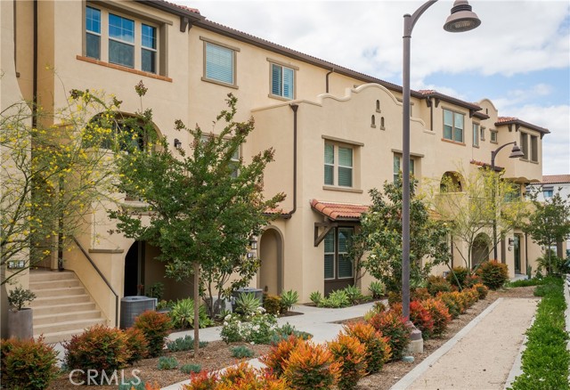 Front Image Thumbnail for CROC26041858