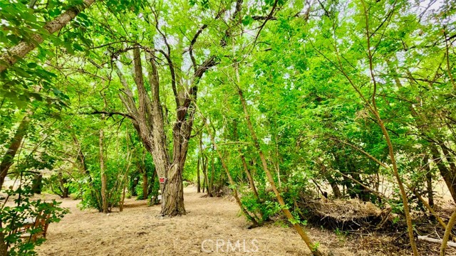 Detail Gallery Image 11 of 19 For 0 Hornbrook Rd., Hornbrook,  CA 96044 - – Beds | – Baths