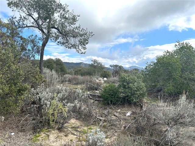 Detail Gallery Image 5 of 29 For 0 Oak Rd, Anza,  CA 92539 - – Beds | – Baths