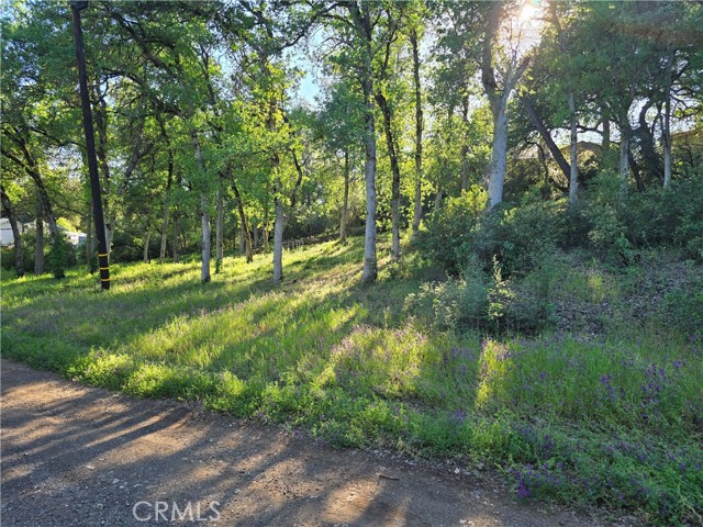 Detail Gallery Image 4 of 4 For 6176 Armijo Ave, Clearlake,  CA 95422 - – Beds | – Baths