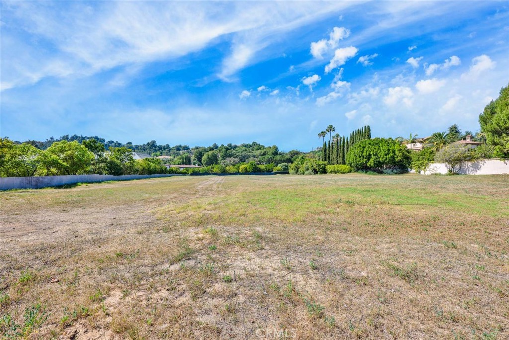 MLS #OC26136259 image #5