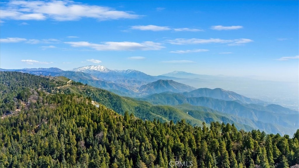 MLS #OC25041566 img 37