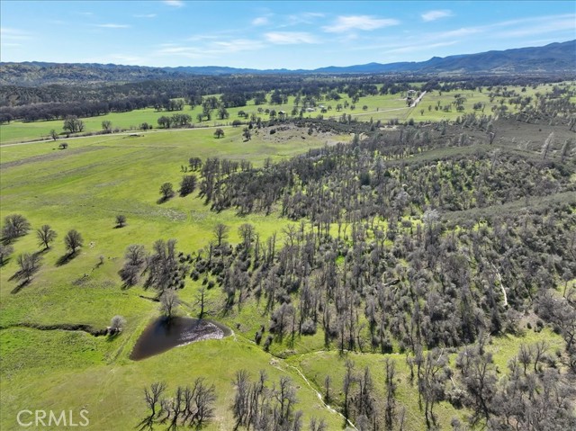 Detail Gallery Image 47 of 73 For 480 County Road 306, Elk Creek,  CA 95939 - 2 Beds | 1 Baths