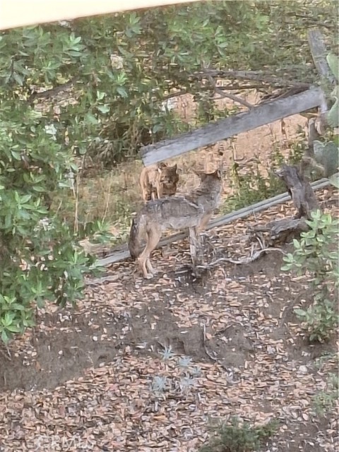 Detail Gallery Image 37 of 42 For 11944 Briarvale, Studio City,  CA 91604 - 5 Beds | 4 Baths