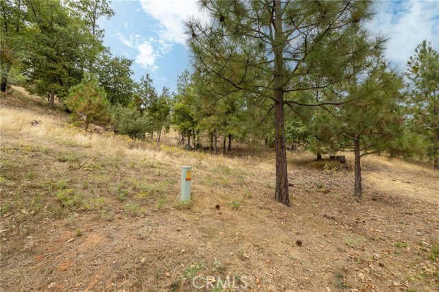 Detail Gallery Image 34 of 55 For 26 Timberview, North Fork,  CA 93643 - – Beds | – Baths