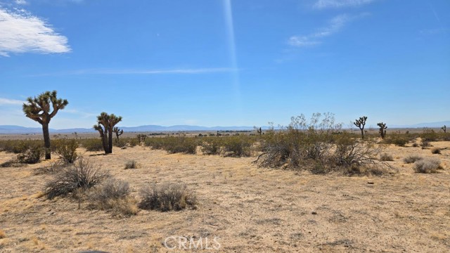 Image 4 of 21 For 0 147th St E Vicinity Capleton D