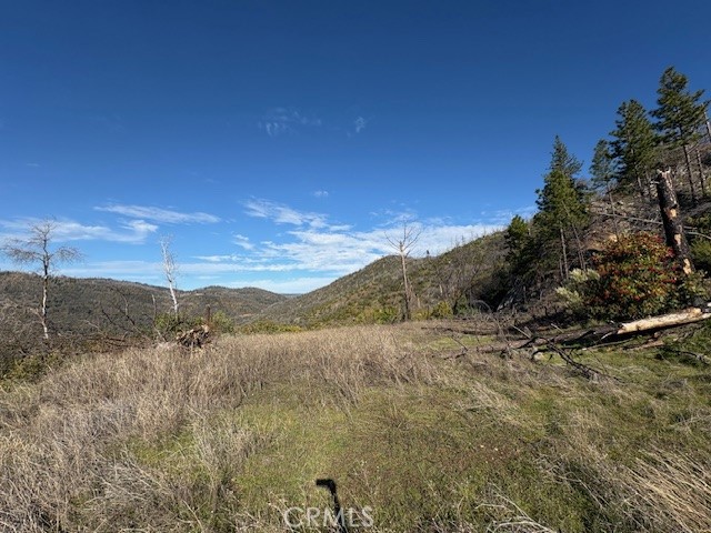 Detail Gallery Image 4 of 34 For 8870 Oro Quincy, Berry Creek,  CA 95916 - – Beds | – Baths